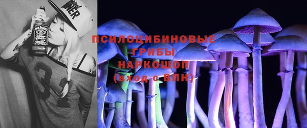 сатива Балабаново