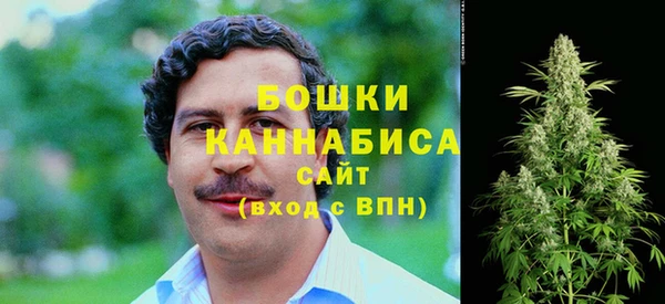 сатива Балабаново