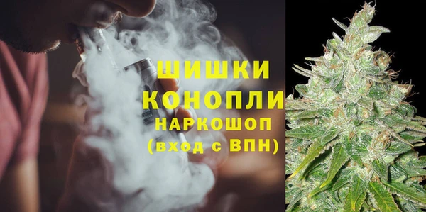 сатива Балабаново