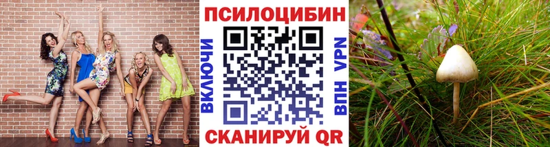 как найти   Болохово  Псилоцибиновые грибы GOLDEN TEACHER 