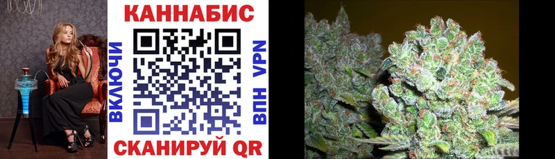 цена   Болохово  Марихуана Bruce Banner 